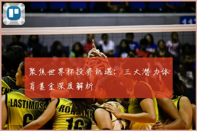 聚焦世界杯投资机遇：三大潜力体育基金深度解析