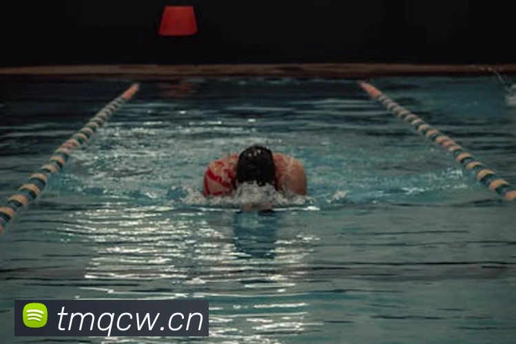 巅峰国际app苹果官网平台生态图